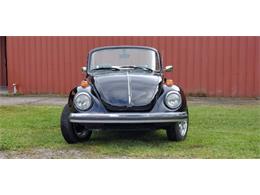 1979 Volkswagen Beetle (CC-1483527) for sale in Cadillac, Michigan