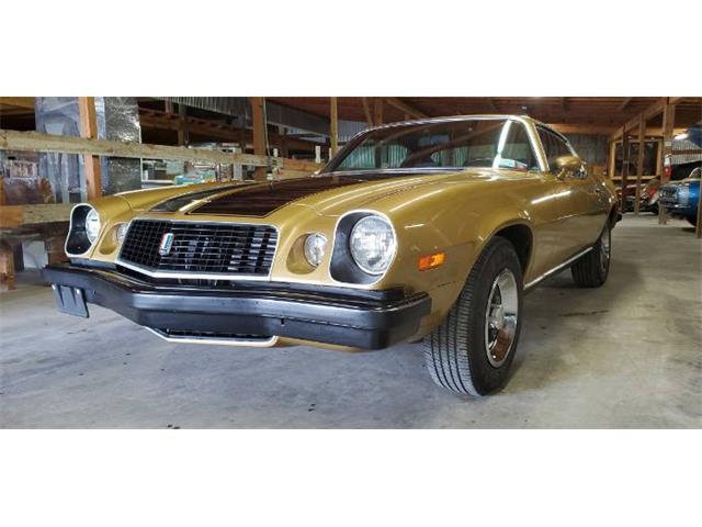 1974 Chevrolet Camaro (CC-1483570) for sale in Cadillac, Michigan