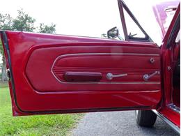 1967 Ford Mustang (CC-1483576) for sale in Palmetto, Florida