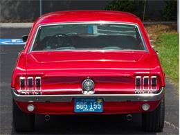1967 Ford Mustang (CC-1483576) for sale in Palmetto, Florida