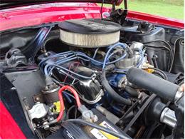 1967 Ford Mustang (CC-1483576) for sale in Palmetto, Florida