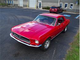 1967 Ford Mustang (CC-1483576) for sale in Palmetto, Florida
