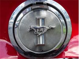 1967 Ford Mustang (CC-1483576) for sale in Palmetto, Florida