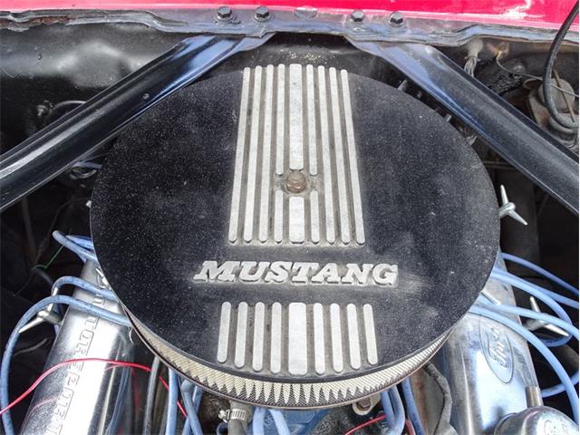 1967 Ford Mustang (CC-1483576) for sale in Palmetto, Florida