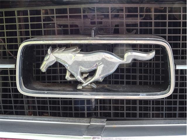 1967 Ford Mustang (CC-1483576) for sale in Palmetto, Florida