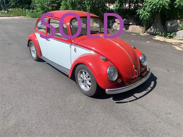 1966 Volkswagen Beetle (CC-1483589) for sale in Annandale, Minnesota
