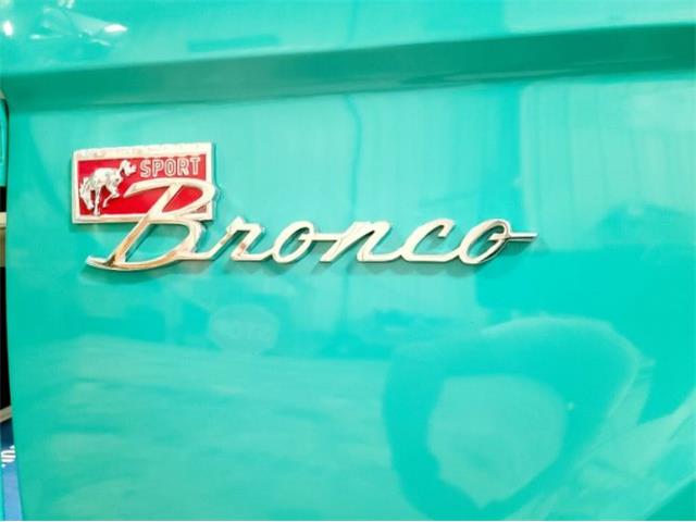 1976 Ford Bronco (CC-1484439) for sale in Cadillac, Michigan