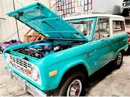 1976 Ford Bronco (CC-1484439) for sale in Cadillac, Michigan
