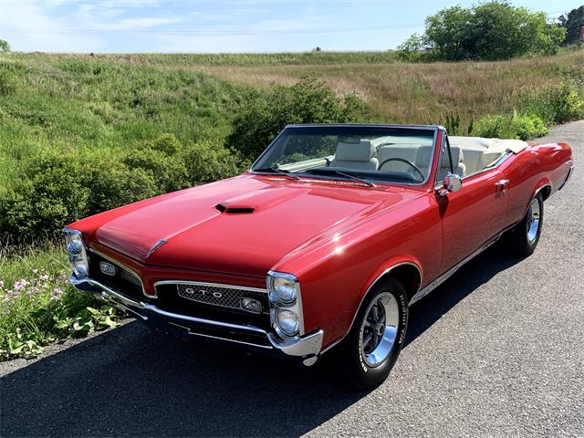 1967 Pontiac GTO (CC-1485117) for sale in Oakland, Maryland