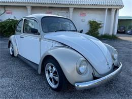 1965 Volkswagen Beetle (CC-1485933) for sale in Miami, Florida