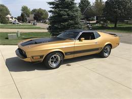 1973 Ford Mustang Mach 1 (CC-1486033) for sale in Otsego , Michigan