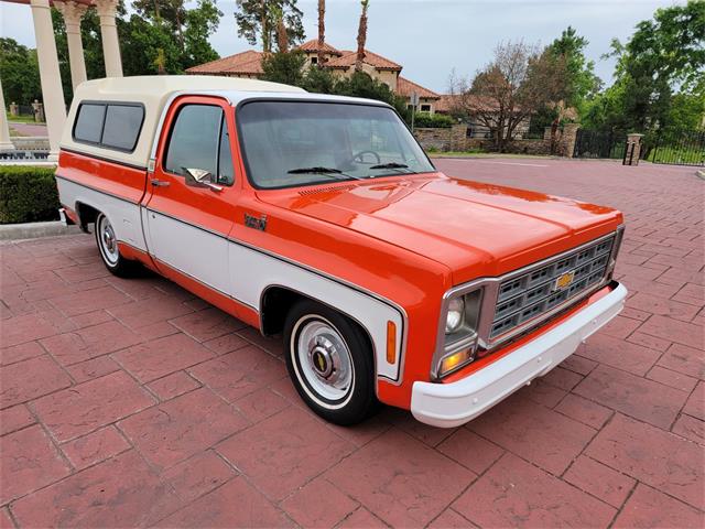 1979 Chevrolet C10 (CC-1486069) for sale in Conroe, Texas