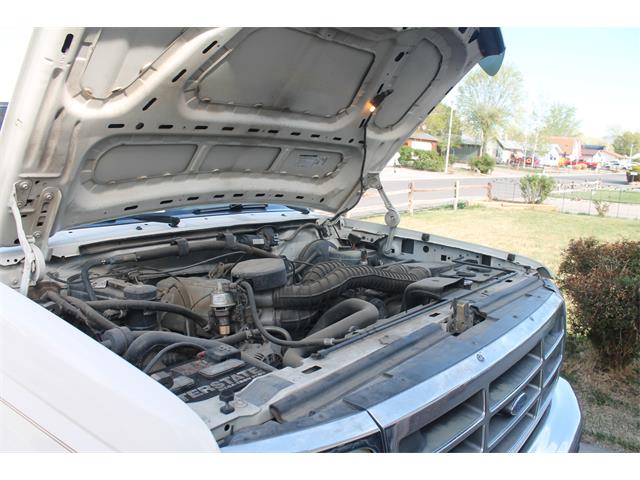 1995 Ford Bronco (CC-1486229) for sale in CLIFTON, Colorado