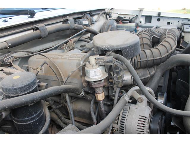 1995 Ford Bronco (CC-1486229) for sale in CLIFTON, Colorado