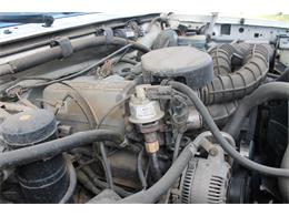 1995 Ford Bronco (CC-1486229) for sale in CLIFTON, Colorado