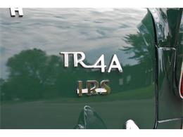 1967 Triumph TR4 (CC-1486246) for sale in Orange, Connecticut