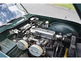 1967 Triumph TR4 (CC-1486246) for sale in Orange, Connecticut