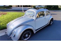 1961 Volkswagen Beetle (CC-1486467) for sale in Fort Myers, Florida