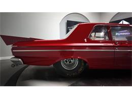 1964 Plymouth Savoy (CC-1486734) for sale in Clearwater, Florida