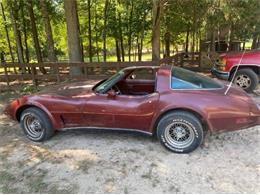 1978 Chevrolet Corvette (CC-1480737) for sale in Cadillac, Michigan