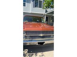 1983 Chevrolet K-20 (CC-1480745) for sale in Cadillac, Michigan