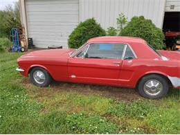 1965 Ford Mustang (CC-1480754) for sale in Cadillac, Michigan