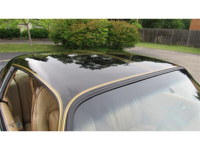 1976 Pontiac Firebird Trans Am (CC-1488060) for sale in MILFORD, Ohio