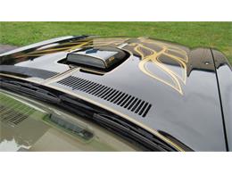 1976 Pontiac Firebird Trans Am (CC-1488060) for sale in MILFORD, Ohio
