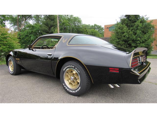 1976 Pontiac Firebird Trans Am (CC-1488060) for sale in MILFORD, Ohio