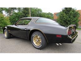 1976 Pontiac Firebird Trans Am (CC-1488060) for sale in MILFORD, Ohio