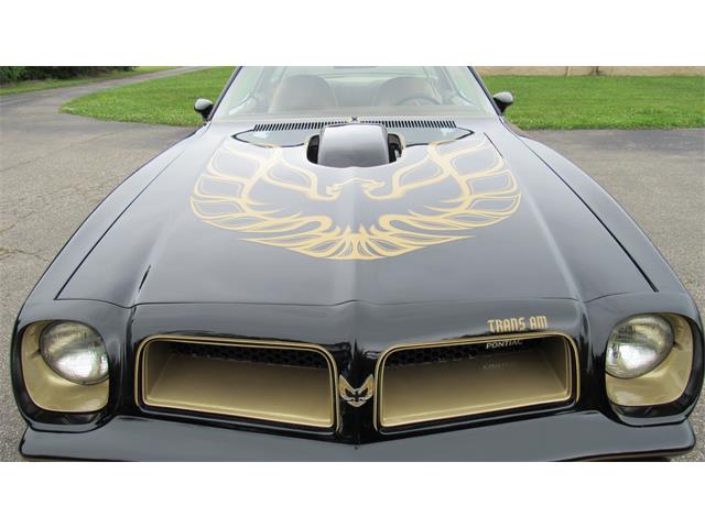 1976 Pontiac Firebird Trans Am (CC-1488060) for sale in MILFORD, Ohio