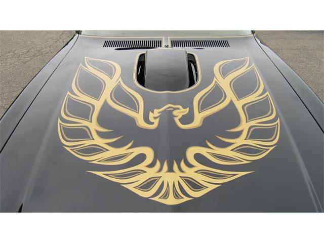 1976 Pontiac Firebird Trans Am (CC-1488060) for sale in MILFORD, Ohio