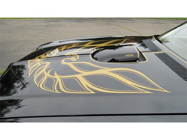 1976 Pontiac Firebird Trans Am (CC-1488060) for sale in MILFORD, Ohio