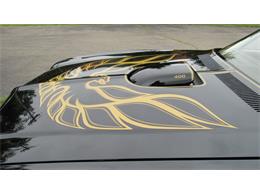 1976 Pontiac Firebird Trans Am (CC-1488060) for sale in MILFORD, Ohio