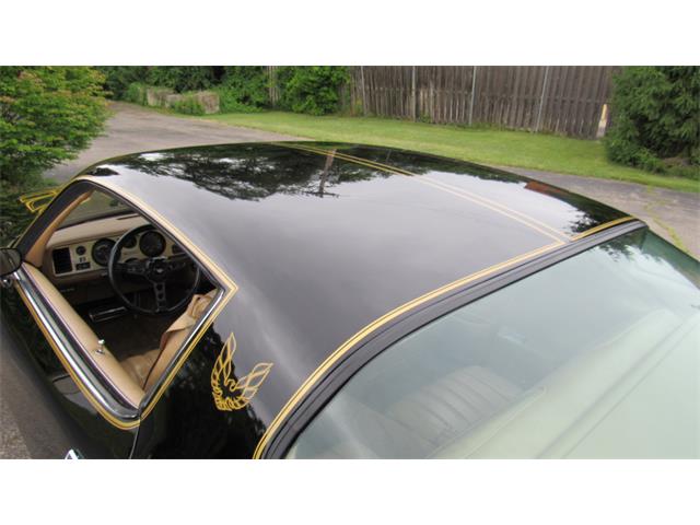1976 Pontiac Firebird Trans Am (CC-1488060) for sale in MILFORD, Ohio