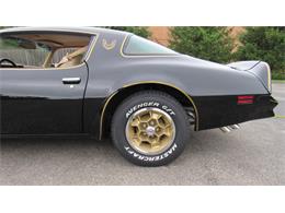 1976 Pontiac Firebird Trans Am (CC-1488060) for sale in MILFORD, Ohio