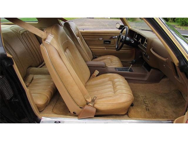 1976 Pontiac Firebird Trans Am (CC-1488060) for sale in MILFORD, Ohio