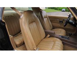 1976 Pontiac Firebird Trans Am (CC-1488060) for sale in MILFORD, Ohio