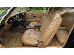 1976 Pontiac Firebird Trans Am (CC-1488060) for sale in MILFORD, Ohio