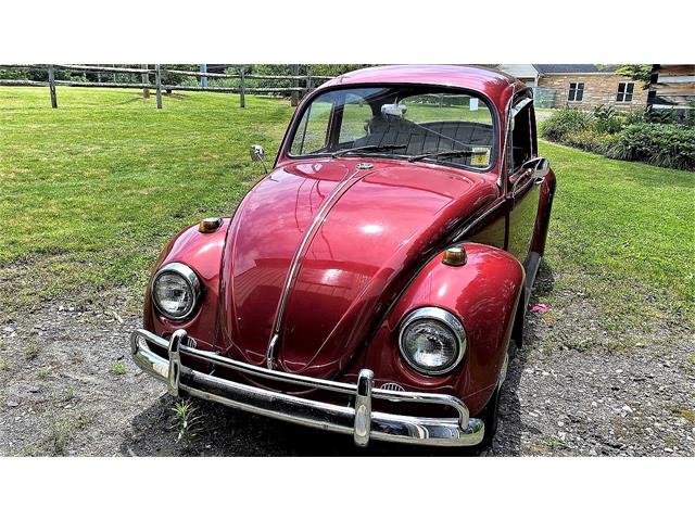 1967 Volkswagen Beetle (CC-1488270) for sale in West Jefferson, North Carolina