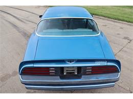 1978 Pontiac Firebird (CC-1488800) for sale in Clarence, Iowa