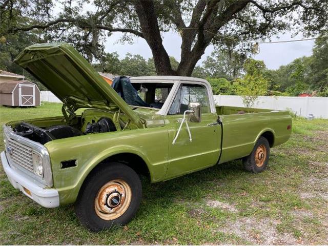 1971 Chevrolet C20 (CC-1488912) for sale in Cadillac, Michigan