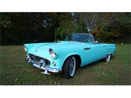 1955 Ford Thunderbird (CC-1489951) for sale in Old Bethpage, New York
