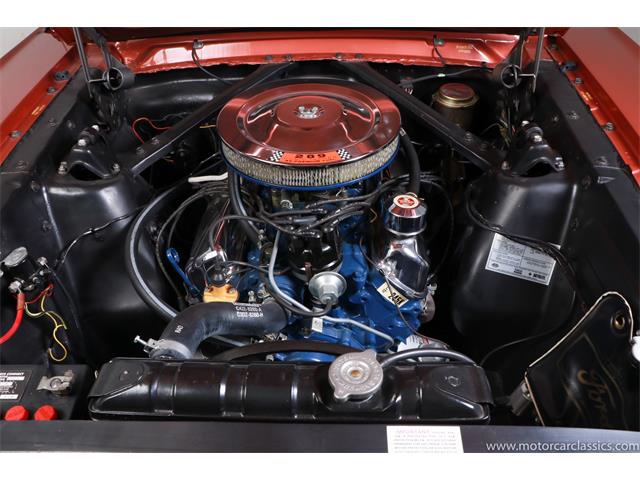 1966 Ford Mustang (CC-1491537) for sale in Farmingdale, New York
