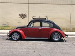 1965 Volkswagen Beetle (CC-1491637) for sale in Brea, California