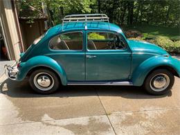 1967 Volkswagen Beetle (CC-1491754) for sale in CUYAHOGA FALLS, Ohio