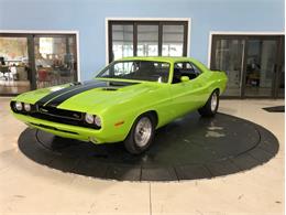 1970 Dodge Challenger (CC-1490188) for sale in Palmetto, Florida