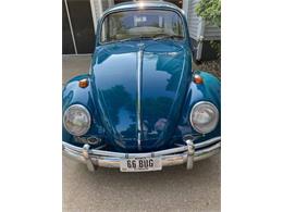 1966 Volkswagen Beetle (CC-1493184) for sale in Cadillac, Michigan