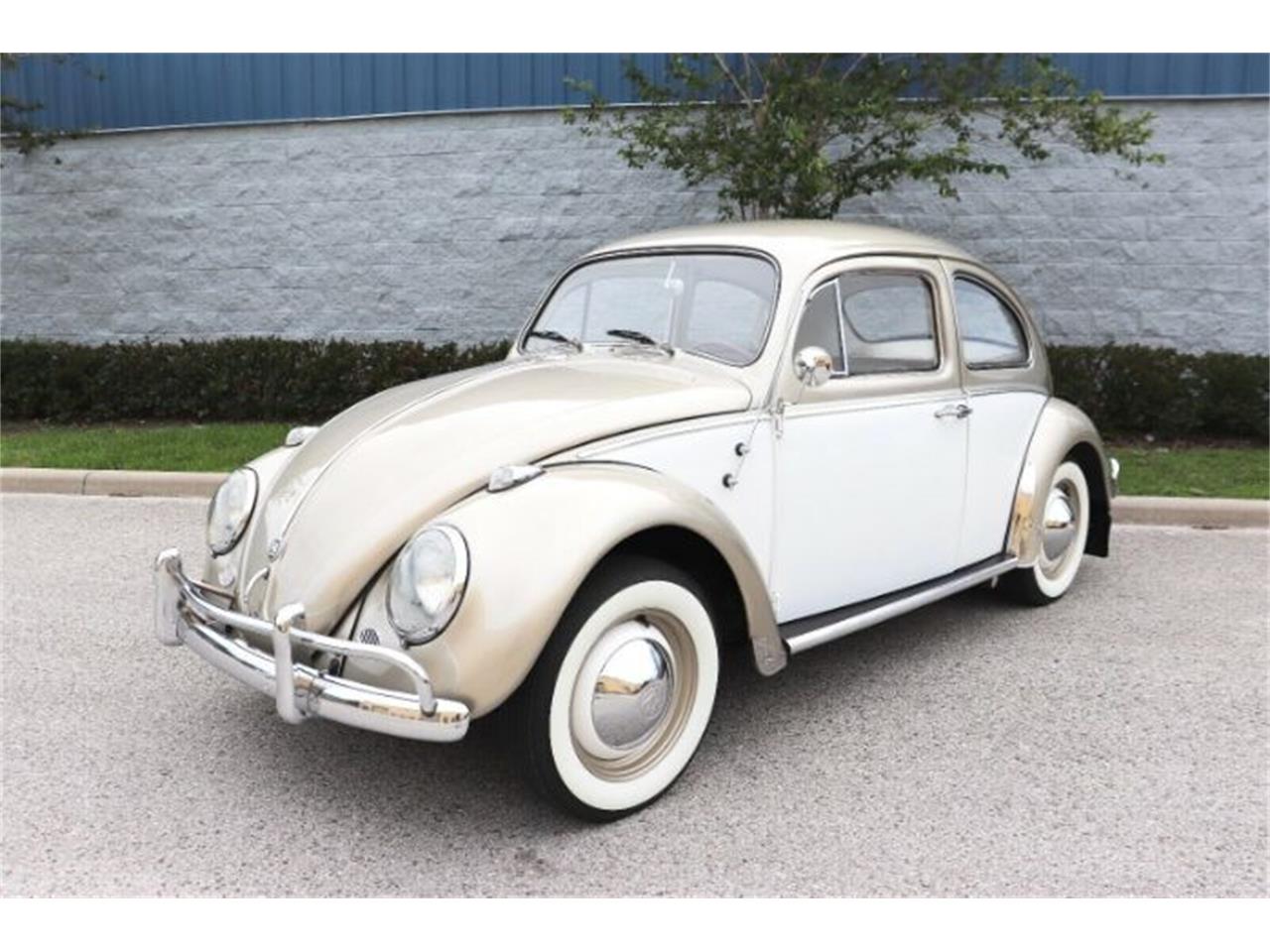 1961 Vw Bug For Sale