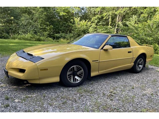 1992 Pontiac Firebird (CC-1493330) for sale in Rochester , Pennsylvania